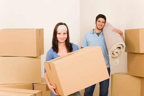 Variety of packing materials and cartons for local removals